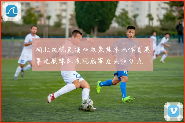 湖北经视直播回放聚焦本地体育赛事进展球队表现成赛后关注焦点