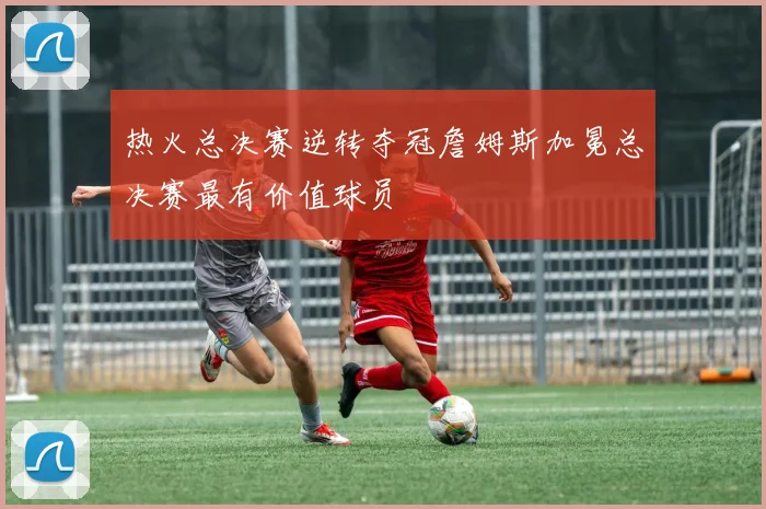 热火总决赛逆转夺冠詹姆斯加冕总决赛最有价值球员