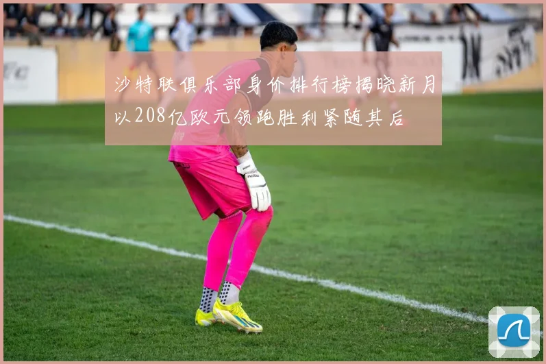 沙特联俱乐部身价排行榜揭晓新月以208亿欧元领跑胜利紧随其后