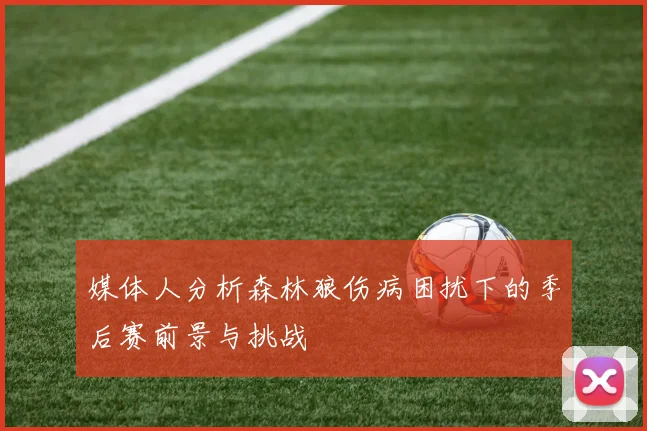 媒体人分析森林狼伤病困扰下的季后赛前景与挑战