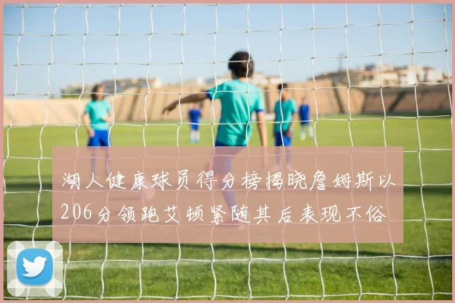 湖人健康球员得分榜揭晓詹姆斯以206分领跑艾顿紧随其后表现不俗