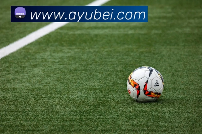 九游网页版入口服务体系